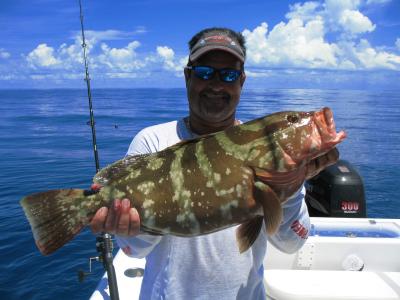 Tortugas Nassau Grouper - Released